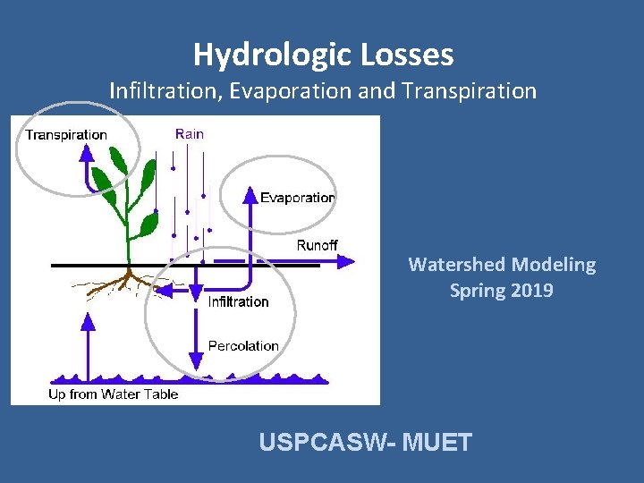 Hydrologic Losses Infiltration, Evaporation and Transpiration Watershed Modeling Spring 2019 USPCASW- MUET 