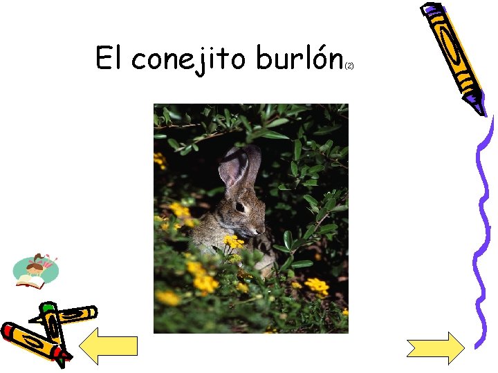 El conejito burlón (2) 