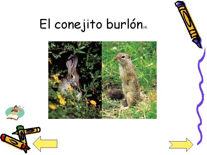 El conejito burlón (4) 