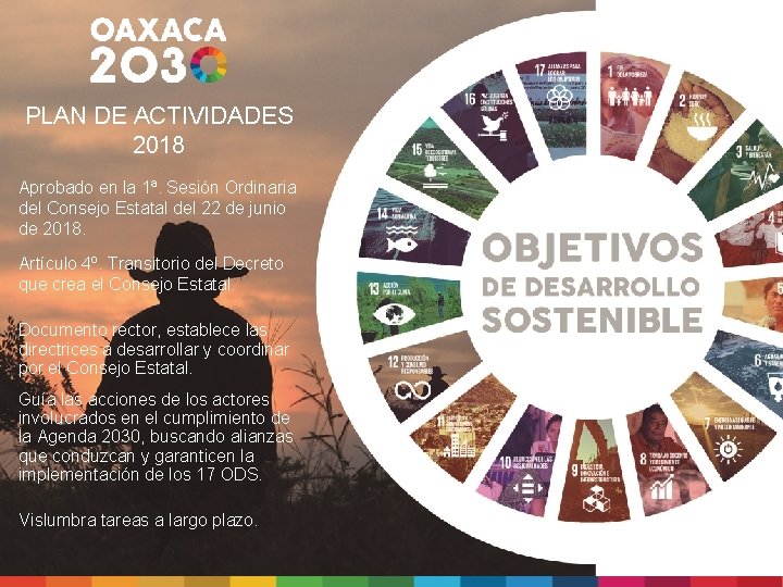 PLAN DE ACTIVIDADES 2018 Aprobado en la 1ª. Sesión Ordinaria del Consejo Estatal del