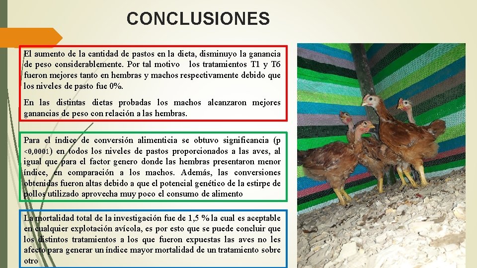 CONCLUSIONES El aumento de la cantidad de pastos en la dieta, disminuyo la ganancia