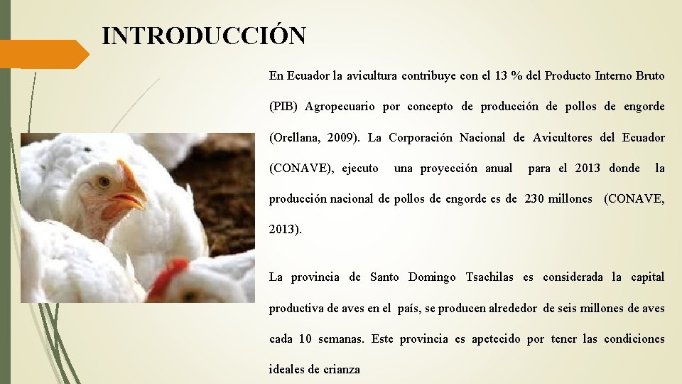 INTRODUCCIÓN En Ecuador la avicultura contribuye con el 13 % del Producto Interno Bruto