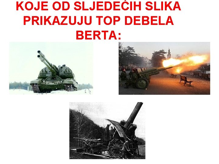 KOJE OD SLJEDEĆIH SLIKA PRIKAZUJU TOP DEBELA BERTA: 