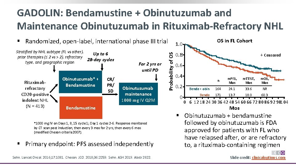 GADOLIN: Bendamustine + Obinutuzumab and Maintenance Obinutuzumab in Rituximab-Refractory NHL Stratified by NHL subtype