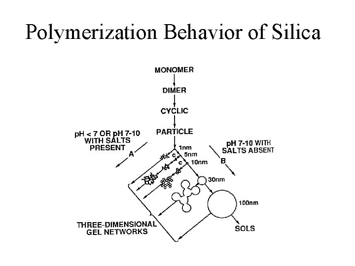 Stages in the Formation of a Collodal Particle