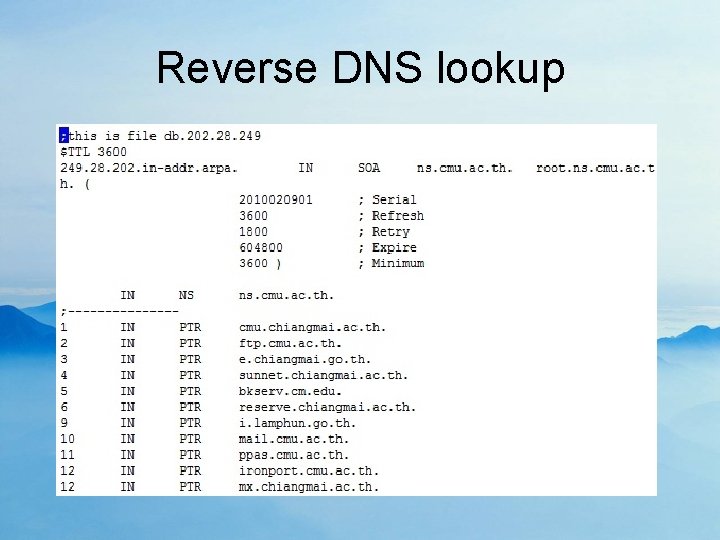 Reverse DNS lookup 