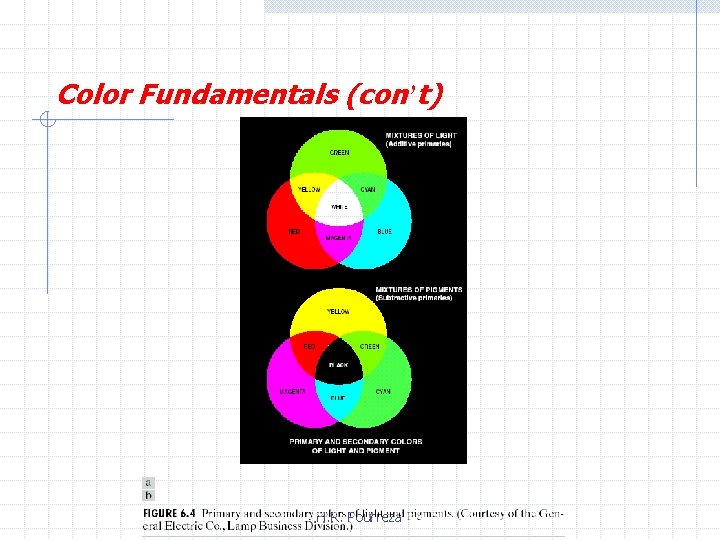 Color Fundamentals (con’t) H. R. Pourreza 