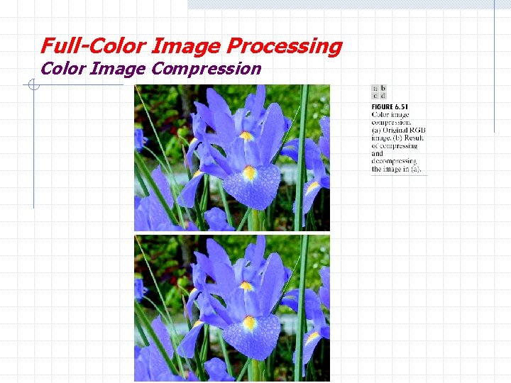 Full-Color Image Processing Color Image Compression H. R. Pourreza 