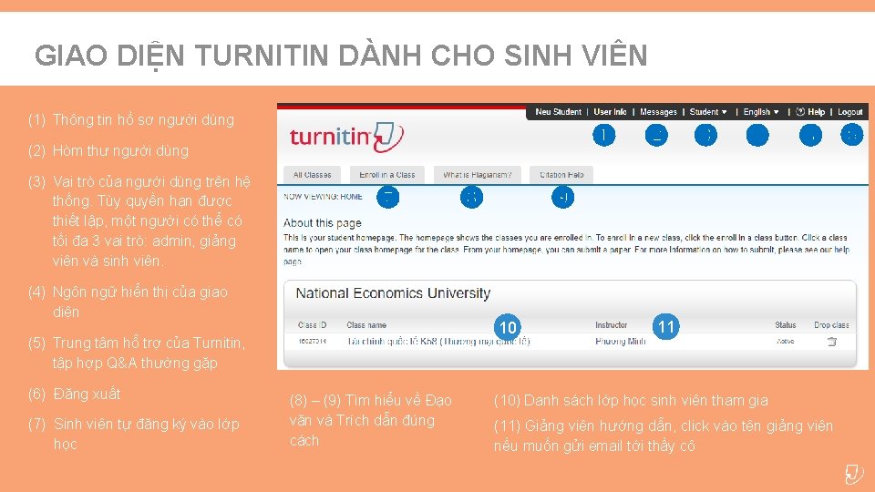 GIAO DIỆN TURNITIN DÀNH CHO SINH VIÊN (1) Thông tin hồ sơ người dùng