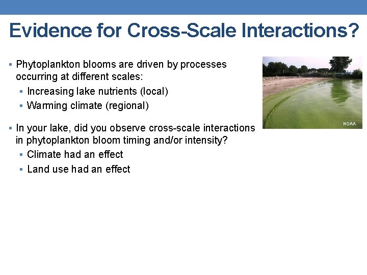 Evidence for Cross-Scale Interactions? § Phytoplankton blooms are driven by processes occurring at different