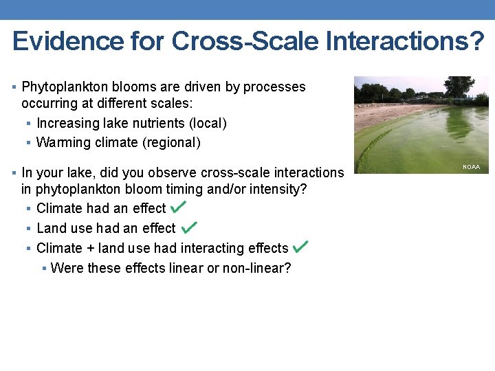 Evidence for Cross-Scale Interactions? § Phytoplankton blooms are driven by processes occurring at different