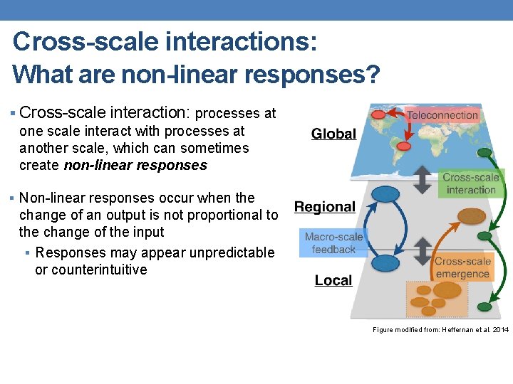 Cross-scale interactions: What are non-linear responses? § Cross-scale interaction: processes at one scale interact