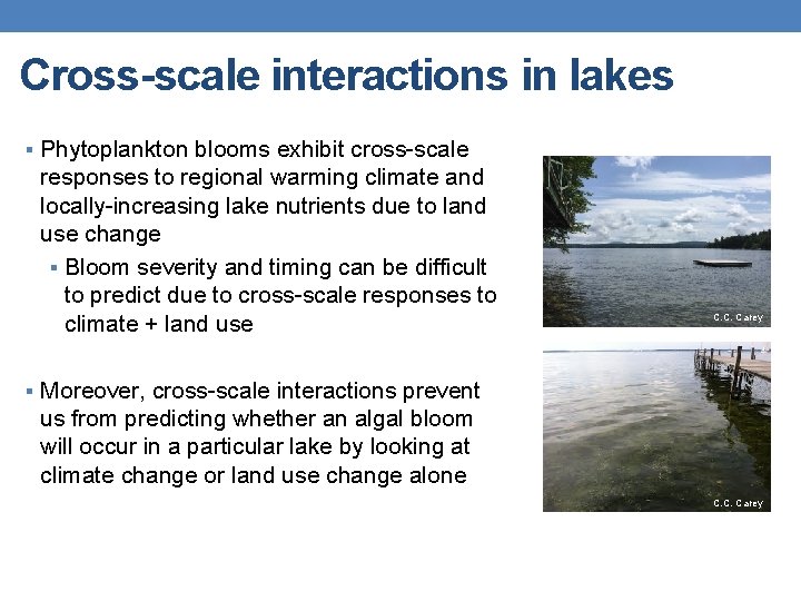 Cross-scale interactions in lakes § Phytoplankton blooms exhibit cross-scale responses to regional warming climate