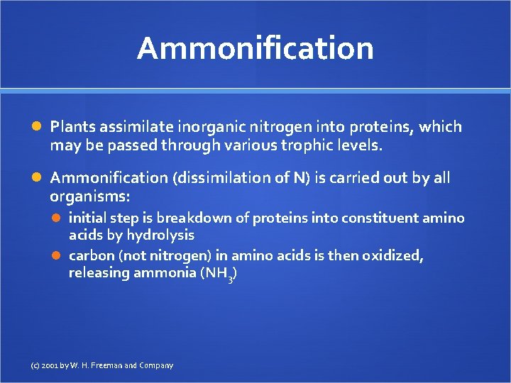 Ammonification Plants assimilate inorganic nitrogen into proteins, which may be passed through various trophic