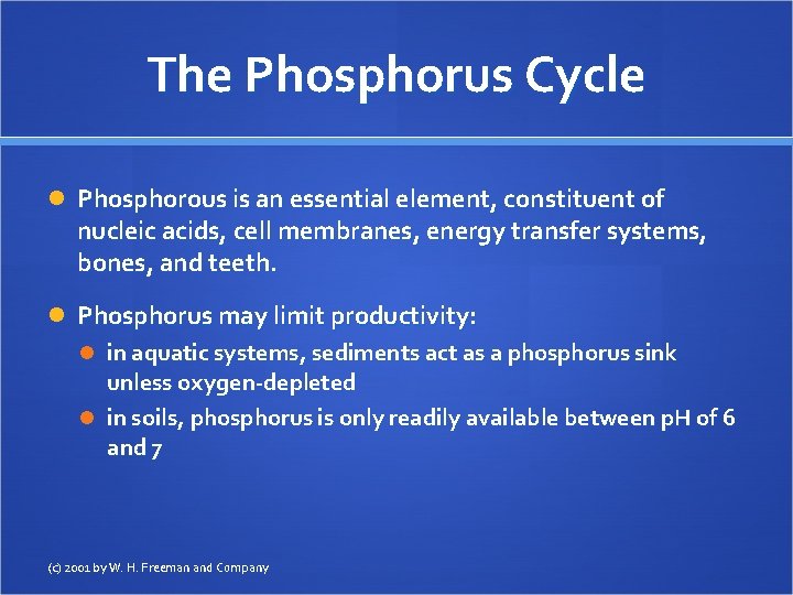 The Phosphorus Cycle Phosphorous is an essential element, constituent of nucleic acids, cell membranes,