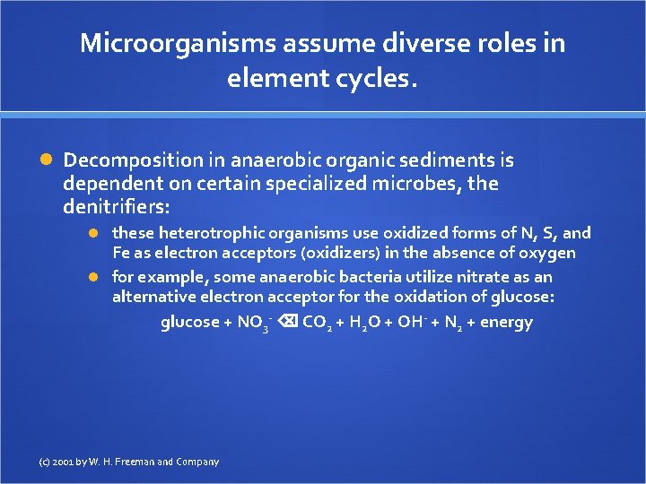 Microorganisms assume diverse roles in element cycles. Decomposition in anaerobic organic sediments is dependent