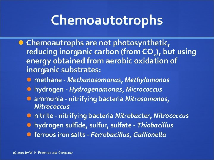 Chemoautotrophs Chemoautrophs are not photosynthetic, reducing inorganic carbon (from CO 2), but using energy