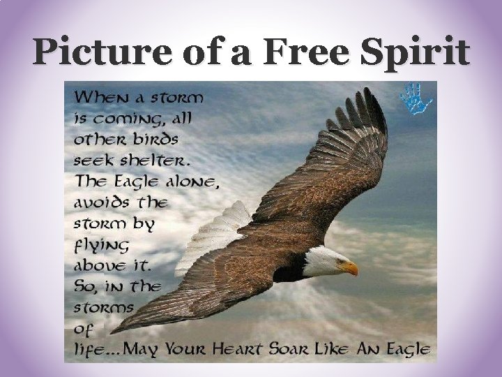 Picture of a Free Spirit Picture of a Free Spirit