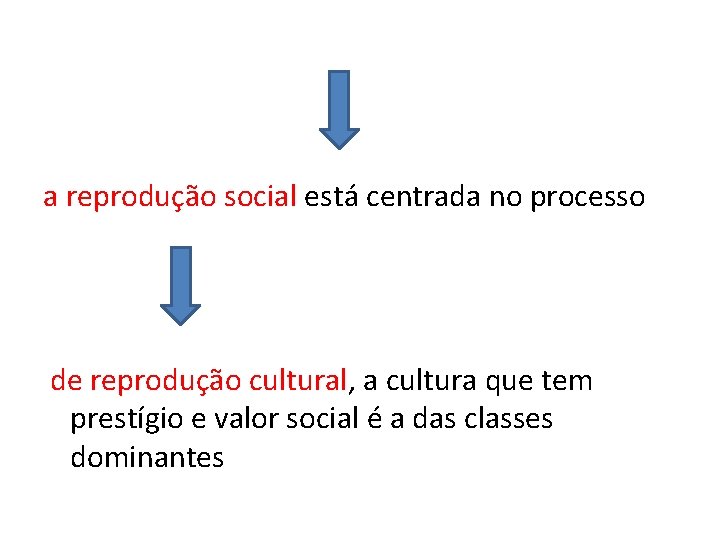 a reprodução social está centrada no processo de reprodução cultural, a cultura que tem