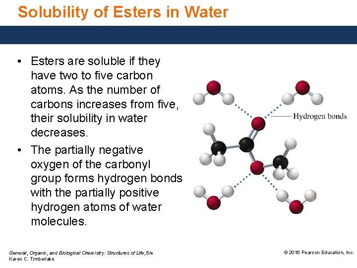 Solubility of Esters in Water • Esters are soluble if they have two to