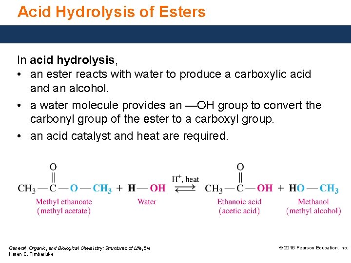 Acid Hydrolysis of Esters In acid hydrolysis, • an ester reacts with water to