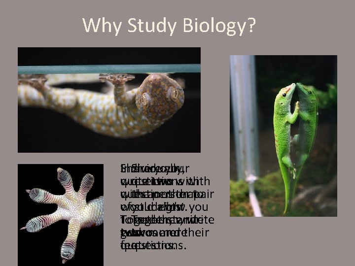 Why Study Biology? Share Individually, Share your write questions two with questions with theanother