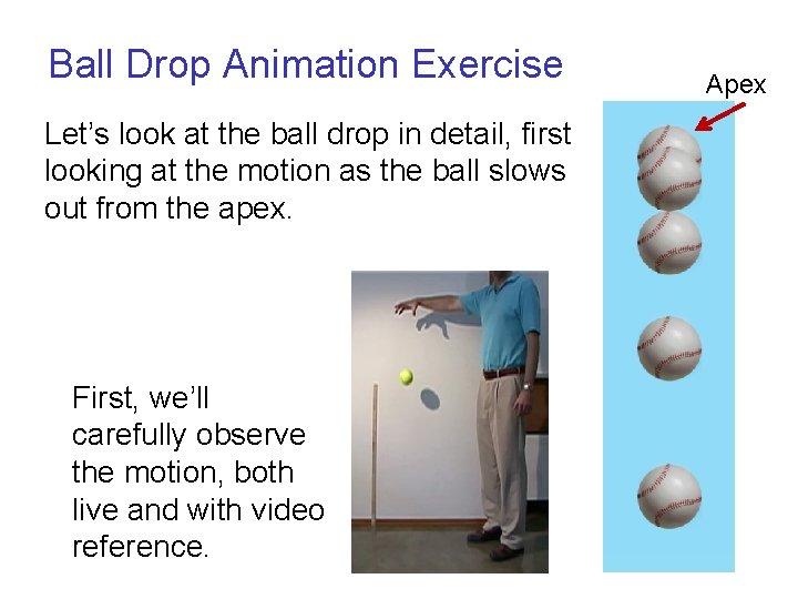 Ball Drop Animation Exercise Let’s look at the ball drop in detail, first looking