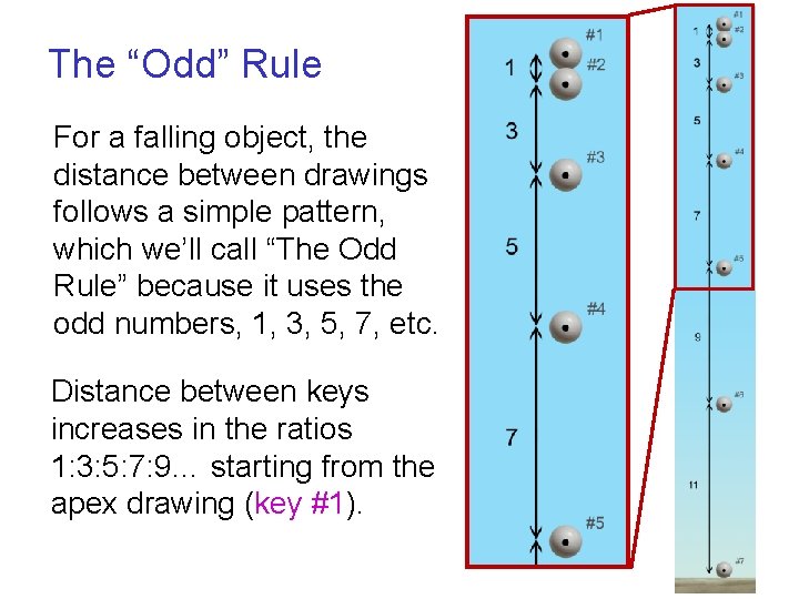 The “Odd” Rule For a falling object, the distance between drawings follows a simple