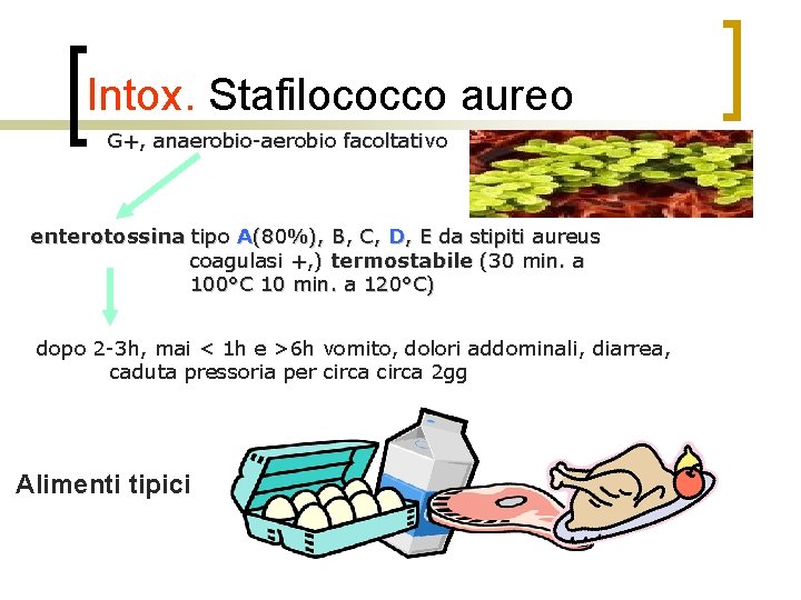 Intox. Stafilococco aureo G+, anaerobio-aerobio facoltativo enterotossina tipo A(80%), B, C, D, E da