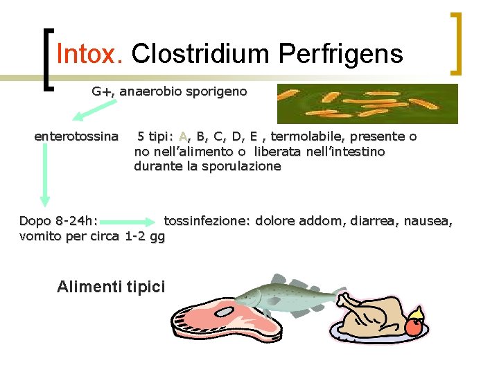 Intox. Clostridium Perfrigens G+, anaerobio sporigeno enterotossina 5 tipi: A, B, C, D, E