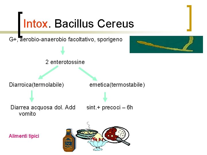 Intox. Bacillus Cereus G+, aerobio-anaerobio facoltativo, sporigeno 2 enterotossine Diarroica(termolabile) Diarrea acquosa dol. Add