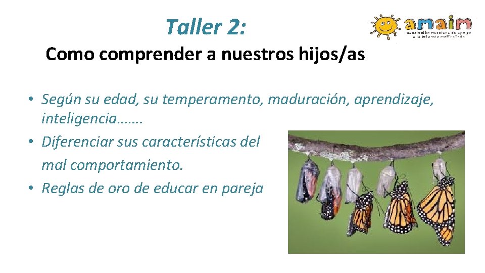 Taller 2: Como comprender a nuestros hijos/as • Según su edad, su temperamento, maduración,