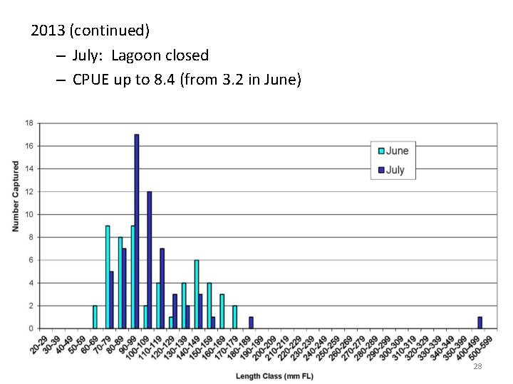 2013 (continued) – July: Lagoon closed – CPUE up to 8. 4 (from 3.