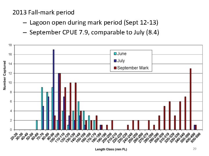 2013 Fall-mark period – Lagoon open during mark period (Sept 12 -13) – September