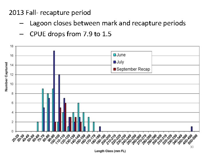 2013 Fall- recapture period – Lagoon closes between mark and recapture periods – CPUE