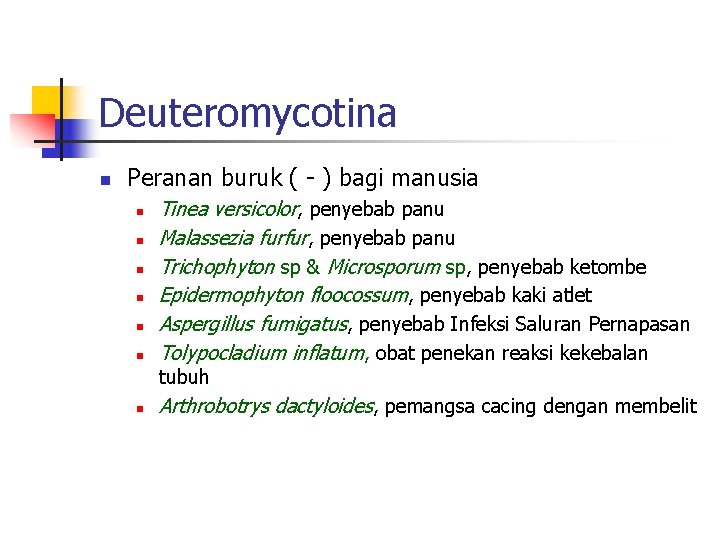 Deuteromycotina n Peranan buruk ( - ) bagi manusia n n n Tinea versicolor,