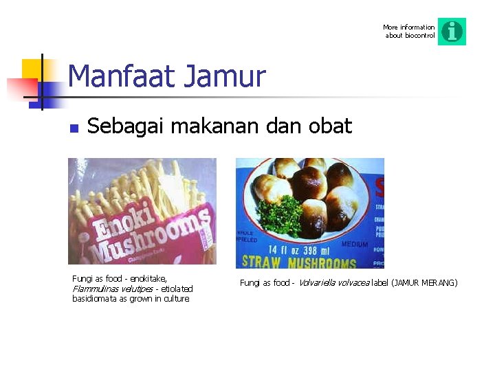More information about biocontrol Manfaat Jamur n Sebagai makanan dan obat Fungi as food