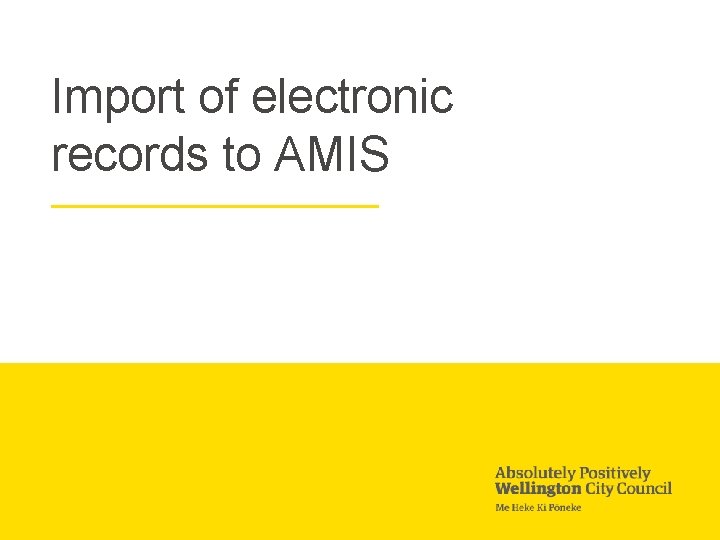 Import of electronic records to AMIS 