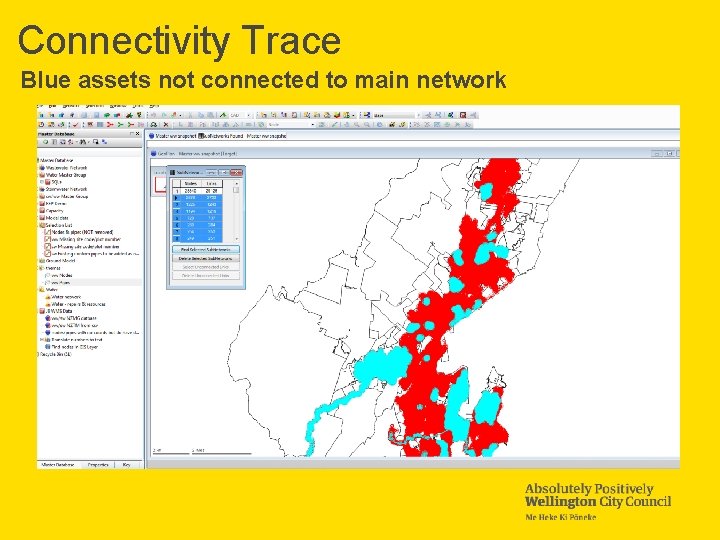 Connectivity Trace Blue assets not connected to main network 