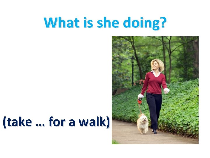 What is she doing? (take … for a walk) 