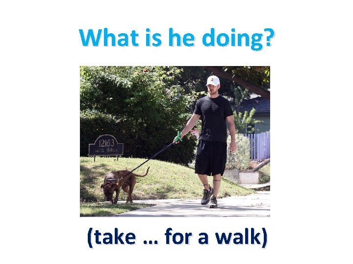 What is he doing? (take … for a walk) 