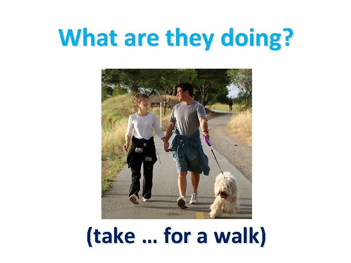 What are they doing? (take … for a walk) 