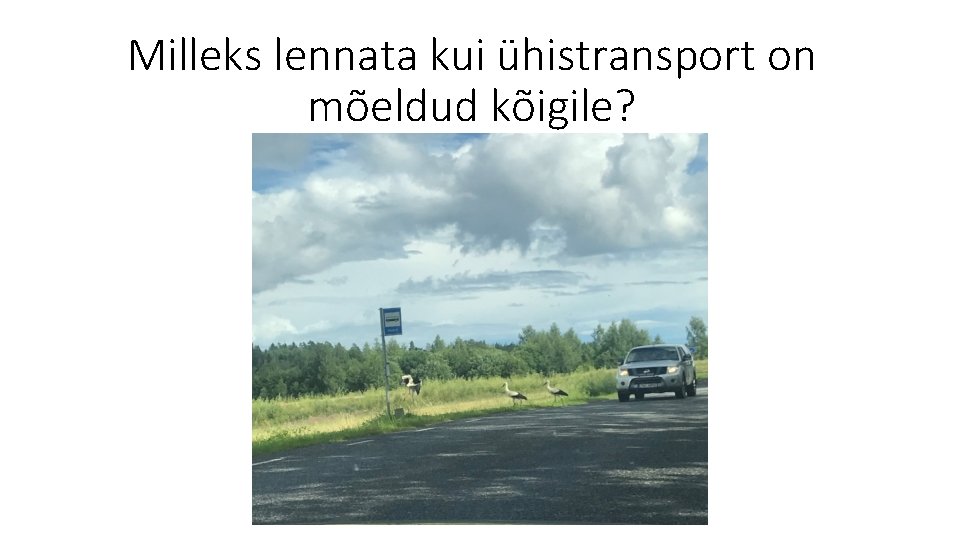 Milleks lennata kui ühistransport on mõeldud kõigile? 