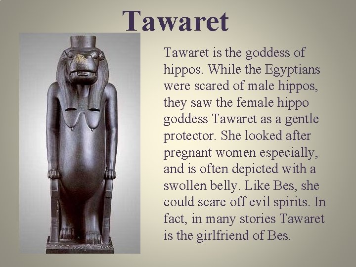 Tawaret is the goddess of hippos. While the Egyptians were scared of male hippos,