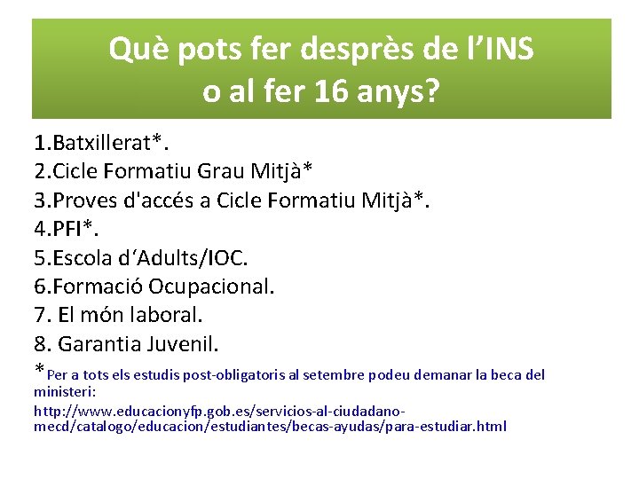 Què pots fer desprès de l’INS o al fer 16 anys? 1. Batxillerat*. 2.