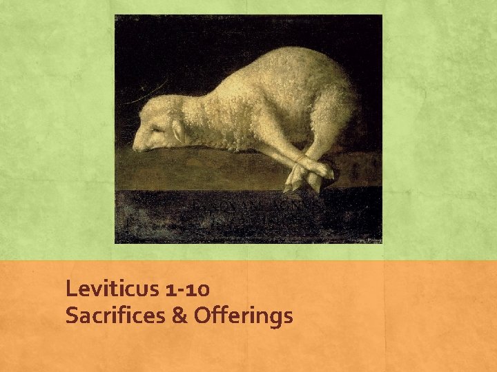 Leviticus 1 -10 Sacrifices & Offerings 