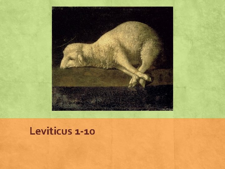 Leviticus 1 -10 