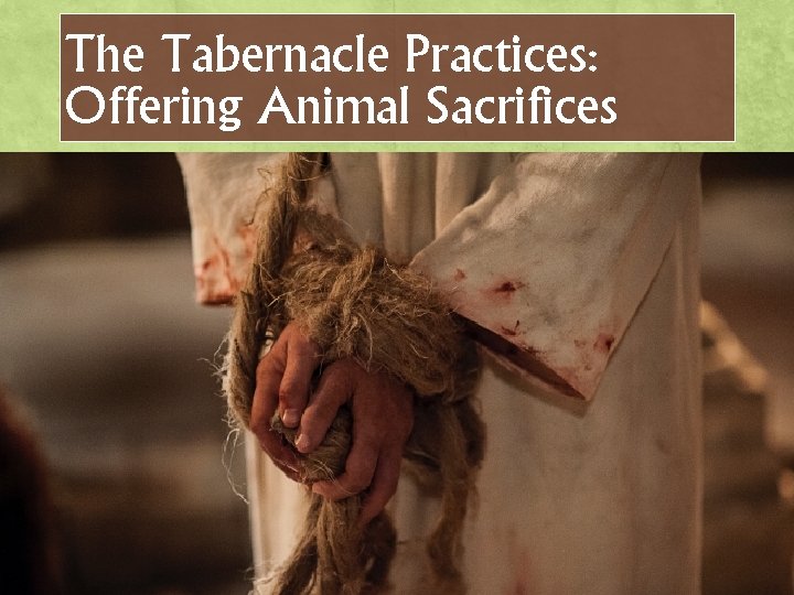 The Tabernacle Practices: Offering Animal Sacrifices 