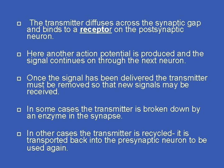 The transmitter diffuses across the synaptic gap and binds to a receptor on The transmitter diffuses across the synaptic gap and binds to a receptor on