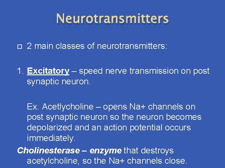 Neurotransmitters 2 main classes of neurotransmitters: 1. Excitatory – speed nerve transmission on post Neurotransmitters 2 main classes of neurotransmitters: 1. Excitatory – speed nerve transmission on post